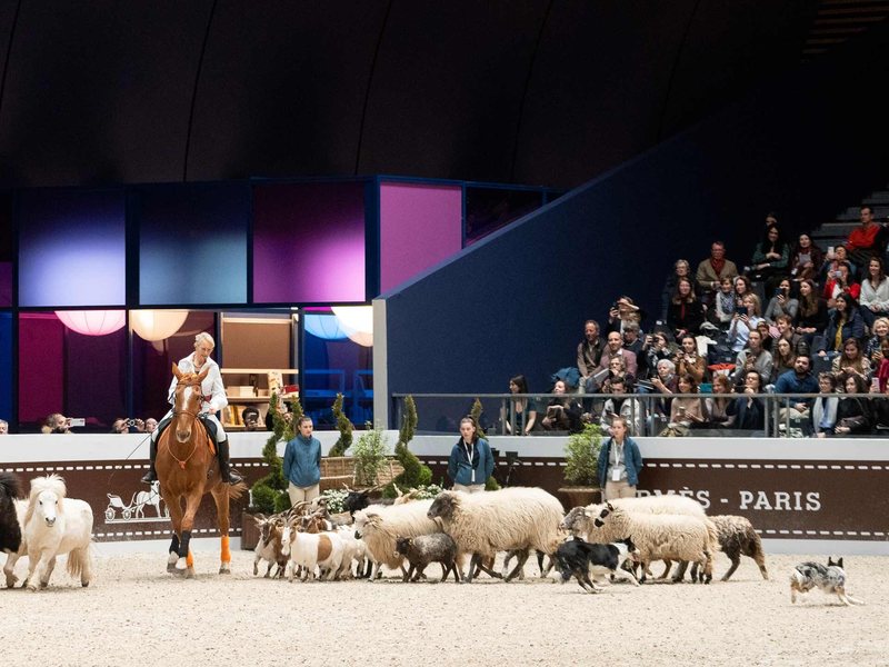 Saut Hermès 2022, Course folle au Grand Palais Éphémère, photo Jessica Rodrigues