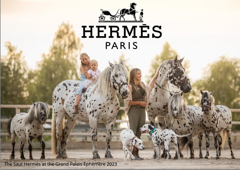 Saut Hermès 2024, numéro en liberté de Greetje Hakvoort : chevaux, poney et chien