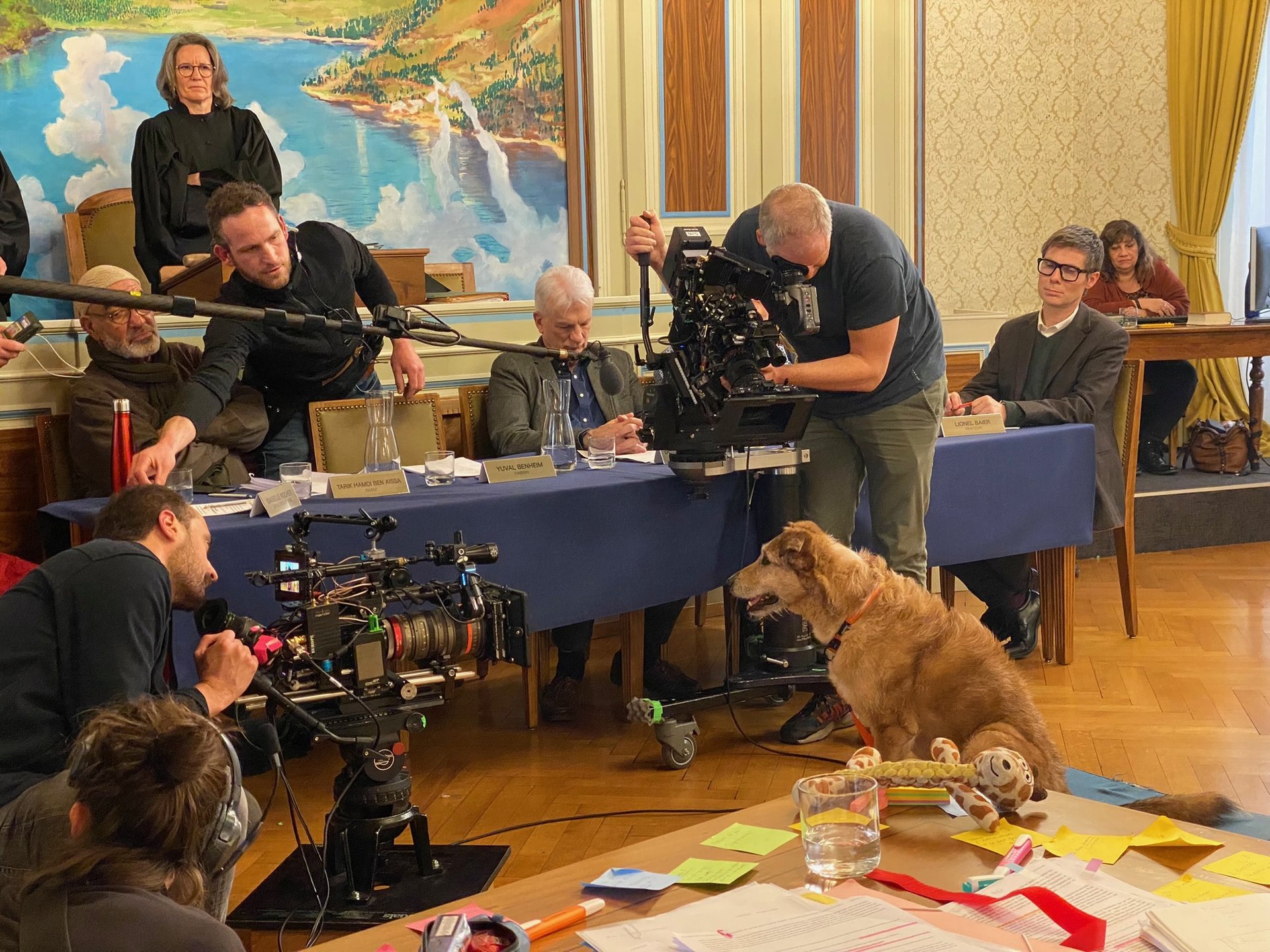 coordinateur animalier cinéma, chien acteur sur le plateau