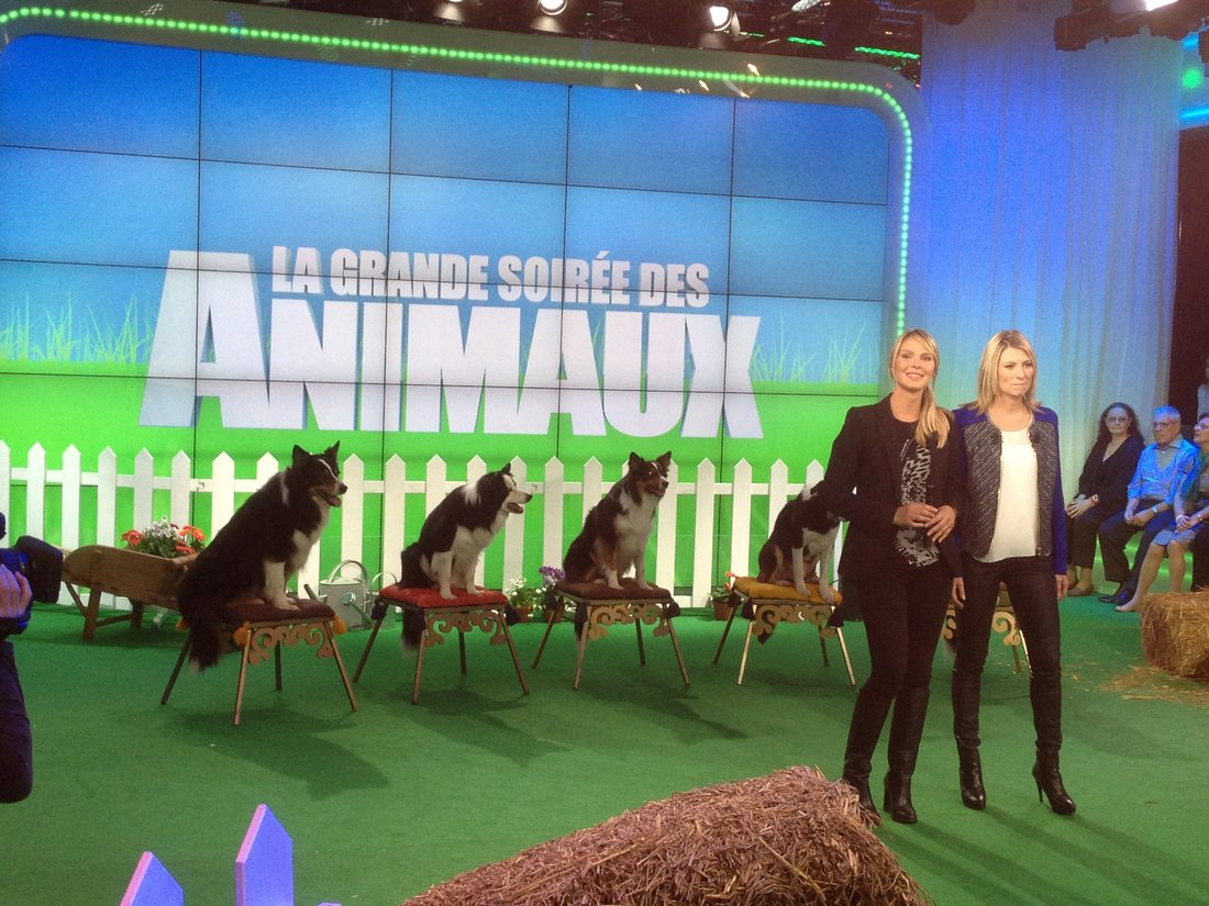 La Grande Soirée des Animaux · D8 · 2013