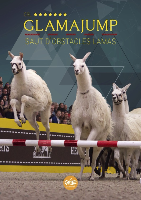 GLAMAJUMP — Spectacle Dog Trainer