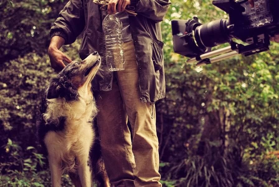 Manuel Thomas — coulisses tournage cinéma, chien et caméra