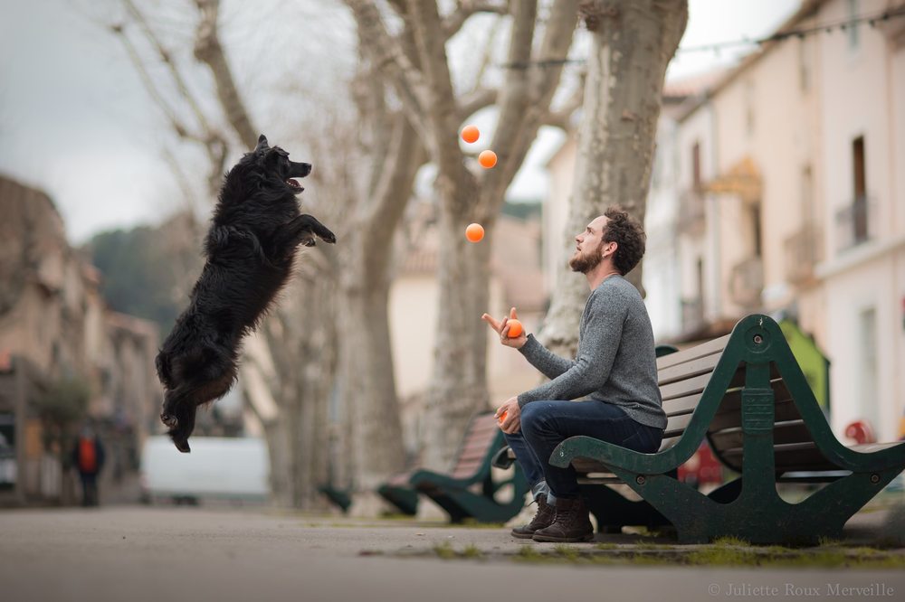 Manuel Thomas — Labo chien acteur