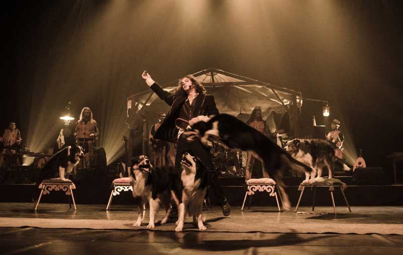 Manuel Thomas — spectacle Daruma, 5 Border Collies
