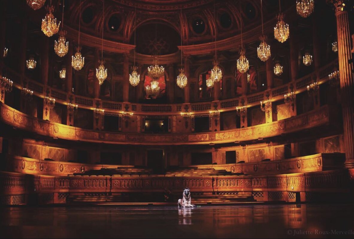 Opéra de Versailles