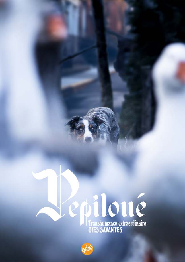 Pépiloué et les oies savantes